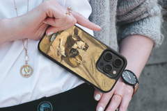 Husa Aristopisi Apple iPhone Impact Ultra