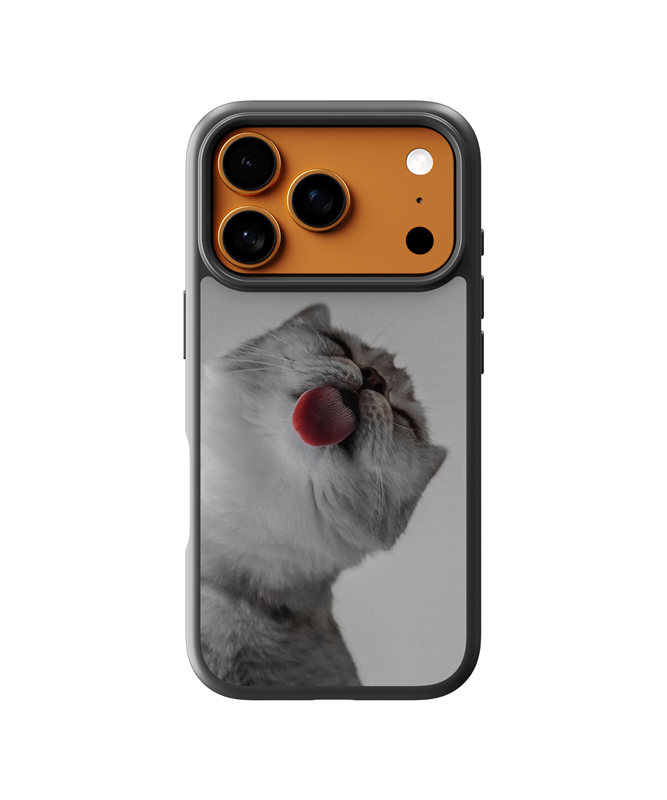 Husa Kiss Apple iPhone Impact Ultra
