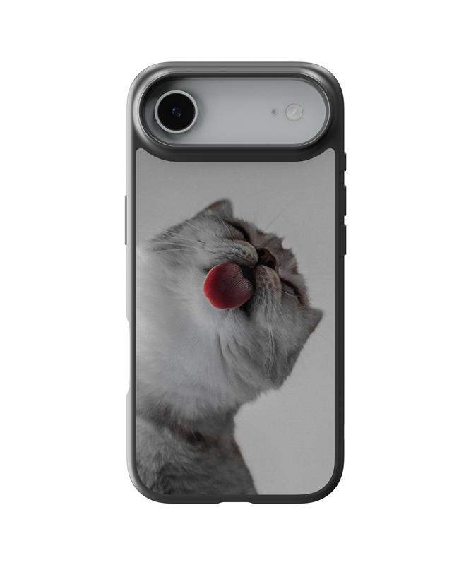 Husa Kiss Apple iPhone Impact Ultra