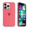 Husa Silicon Interior Microfibra Flash Apple iPhone 11 Pro Max - StarMobile.ro - Modă pentru telefon